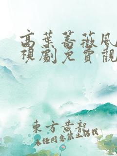 高叶蔷薇风暴电视剧免费观看