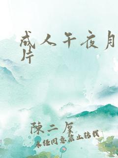 成人午夜月b毛片