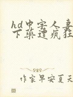 hd中字人妻被下药遭疯狂玩弄