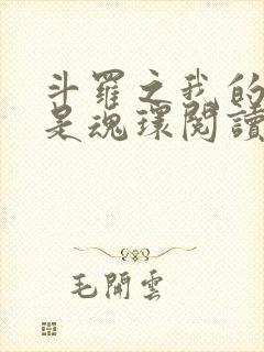 斗罗之我的武魂是魂环阅读