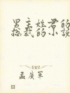 男主姓君的霸道总裁的小说