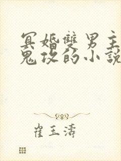 冥婚双男主受厉鬼攻的小说