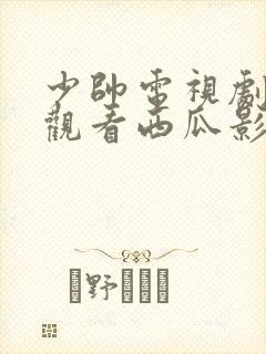 少帅电视剧免费观看西瓜影院