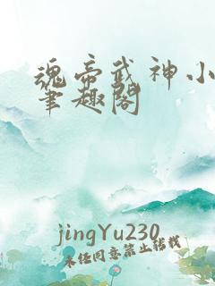 魂帝武神小小八笔趣阁