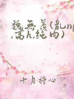 魏无羡(乱np,高h,纯肉)