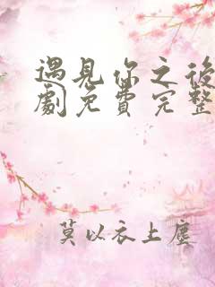 遇见你之后电视剧免费完整观看高清