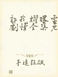 许我耀眼电视剧剧情全集免费观看高清