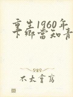 重生1960年下乡当知青的小说