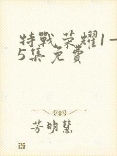 特战荣耀1—45集免费