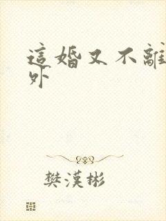 这婚又不离了番外