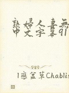 熟妇人妻无乱码中文字幕91