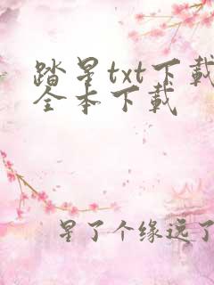踏星txt下载全本下载