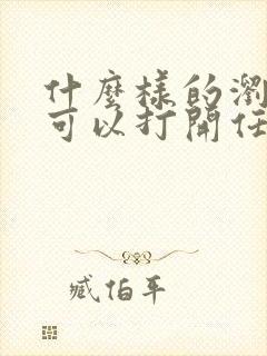 什么样的浏览器可以打开任何网站