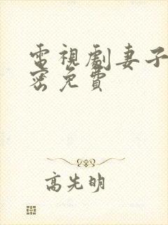 电视剧妻子的秘密免费