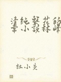 清纯系花的瘾日常小说林峰