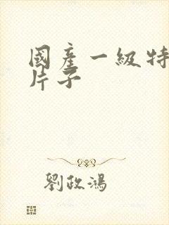 国产一级特黄的片子