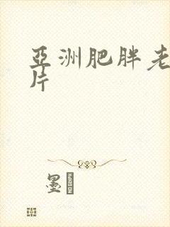 亚洲肥胖老人毛片