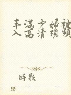 丰满少妇被猛进入高清视频