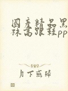 国产精品黑色丝袜高跟鞋pp