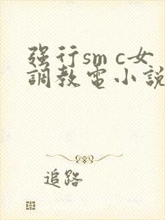 强行sm c女调教电小说