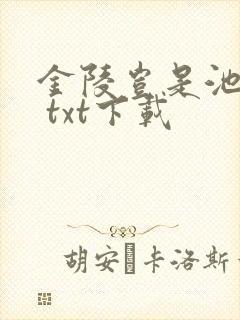 金陵岂是池中物 txt下载
