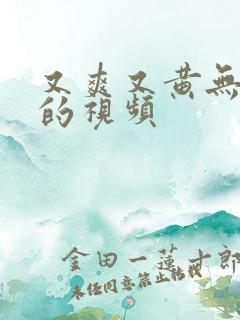 又爽又黄无遮挡的视频