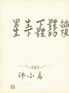 男生下体插入女生下体的视频