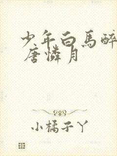 少年白马醉春风 唐怜月
