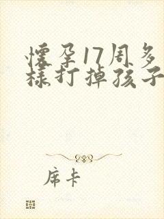 怀孕17周多怎样打掉孩子