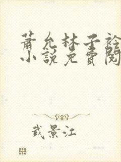 萧允林子衿穿越小说免费阅读无弹窗