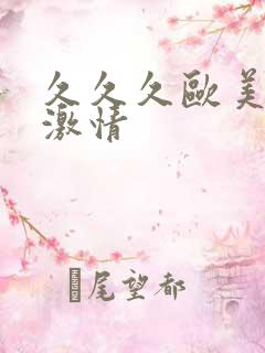 久久久欧美精品激情