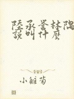 陆承誉林隅眠小说叫什么