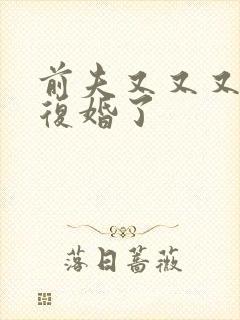 前夫又又又又想复婚了