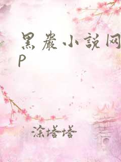 黑岩小说网app