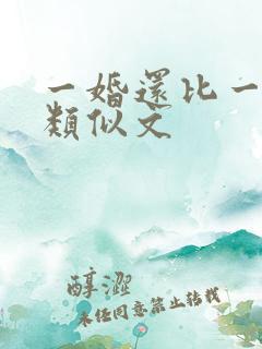 一婚还比一婚高类似文