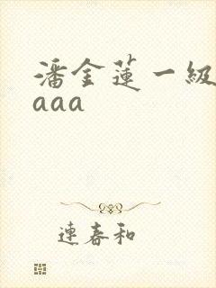 潘金莲一级乳片aaa