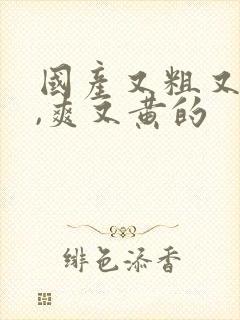 国产又粗又猛又,爽又黄的