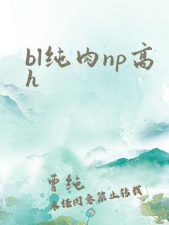 bl纯肉np高h