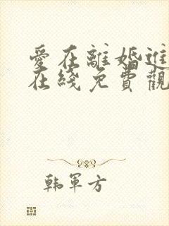 爱在离婚进行时在线免费观看