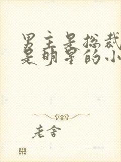 男主是总裁女主是明星的小说