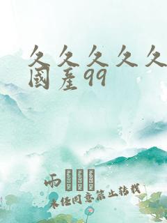 久久久久久精品国产99