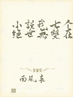 小说我七个姐姐绝世无双在线阅读