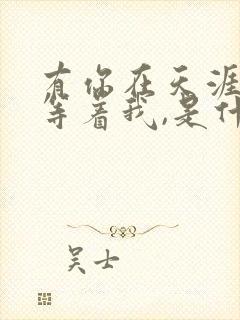 有你在天涯尽头等着我,是什么歌