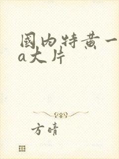 国内特黄一级aa大片