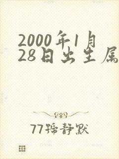 2000年1月28日出生属兔还是属龙