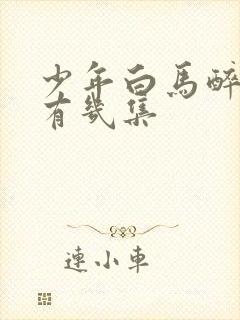 少年白马醉春风有几集