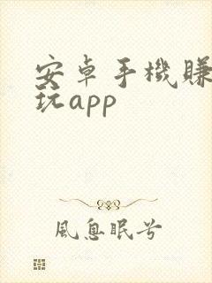 安卓手机赚钱试玩app