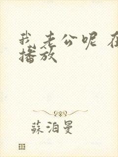 我老公呢 在线播放