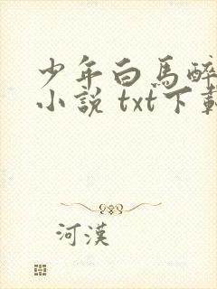 少年白马醉春风小说 txt下载
