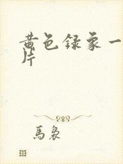 黄色录象一级大片